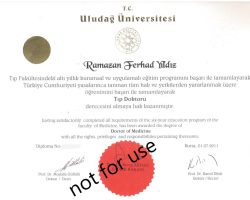 dr_ferhad-diploma