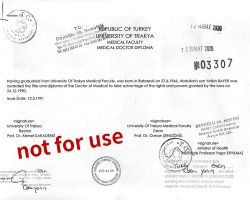 yetkin_bayer_diploma