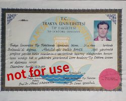 yetkin_bayer_diploma_02