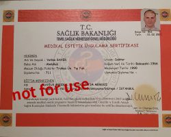 yetkin_bayer_diploma_3-2